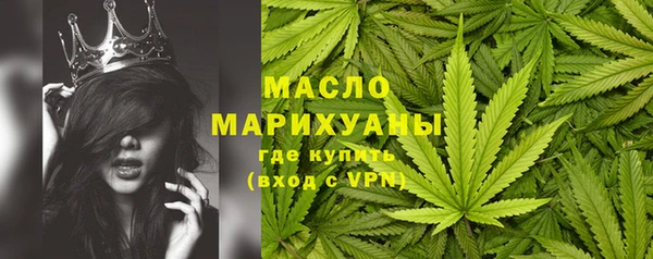 дмт Алексин