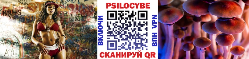 Псилоцибиновые грибы Psilocybine cubensis  mega ссылки  Мантурово 